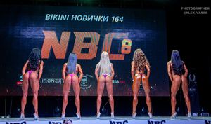 BIKINI НОВИЧКИ 164